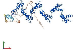 Protein Structure (PS) image for ZFP2 Zinc Finger Protein (ZFP2) (AA 1-461) protein (His tag) (ABIN7545293)