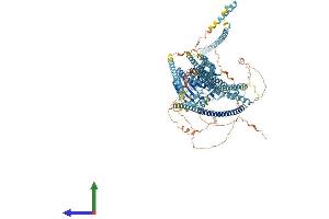 AlphaFold protein structure predicition of Mouse Recombinant Kif4 Protein, UniprotID P33174 (KIF4A Protein (AA 1-1231) (His tag))