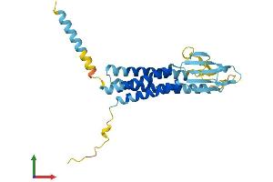 AlphaFold protein structure predicition of Mouse Recombinant Cacng6 Protein, UniprotID Q8VHW3 (CACNG6 Protein (AA 1-260) (His tag))
