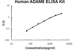 Human ADAM8 Accusignal ELISA Kit Human ADAM8 AccuSignal ELISA Kit standard curve. (ADAM8 ELISA Kit)