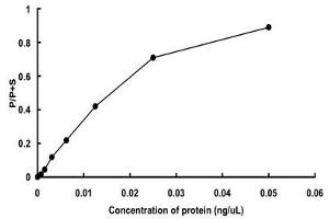 Image no. 2 for serum/glucocorticoid Regulated Kinase 2 (SGK2) (Ser356Asp-Mutant) (Active) protein (GST tag) (ABIN5570739)