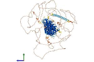 AlphaFold protein structure predicition of Mouse Recombinant Pkp4 Protein, UniprotID Q68FH0