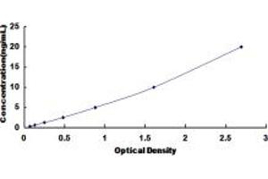 BMI1 ELISA Kit