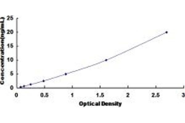 BMI1 ELISA Kit