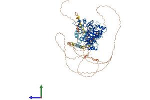 AlphaFold protein structure predicition of Mouse Recombinant Ttll6 Protein, UniprotID A4Q9E8 (TTLL6 Protein (AA 1-822) (His tag))