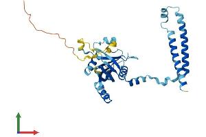 AlphaFold protein structure predicition of Human Recombinant PSMD14 Protein, UniprotID O00487