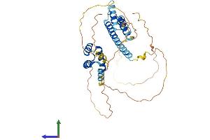 Protein Structure (PS) image for Meis Homeobox 3 (MEIS3) (AA 1-375) protein (His tag) (ABIN7549362)
