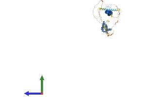 AlphaFold protein structure predicition of Mouse Recombinant Ccdc157 Protein, UniprotID Q5SPX1 (CCDC157 Protein (AA 1-718) (His tag))