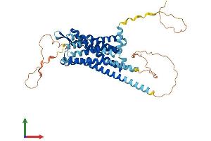 Protein Structure (PS) image for Cholecystokinin B Receptor (CCKBR) (AA 1-453) protein (His tag) (ABIN7556479)
