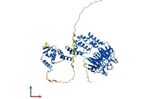 AlphaFold protein structure predicition of Human Recombinant KLHL17 Protein, UniprotID Q6TDP4 (KLHL17 Protein (AA 1-642) (His tag))