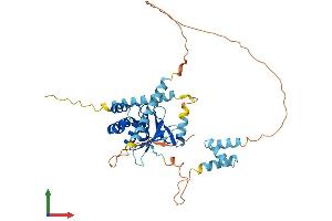AlphaFold protein structure predicition of Mouse Recombinant Otud3 Protein, UniprotID B1AZ99