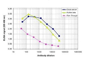 ELISA results of Rabbit anti-PHF8 antibody ELISA results of Rabbit anti-PHF8 antibody.