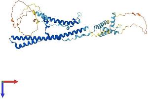 AlphaFold protein structure predicition of Human Recombinant TADA3 Protein, UniprotID O75528 (TADA3L Protein (AA 1-432) (His tag))