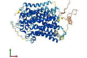 AlphaFold protein structure predicition of Mouse Recombinant Slc5a12 Protein, UniprotID Q49B93 (SLC5A12 Protein (AA 1-619) (His tag))