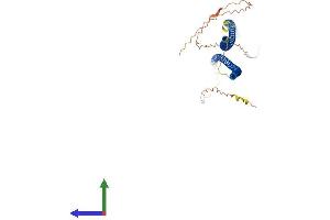 AlphaFold protein structure predicition of Human Recombinant KRT35 Protein, UniprotID Q92764
