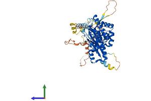Protein Structure (PS) image for Phosphatidylinositol 4-Kinase Type 2 beta (PI4K2B) (AA 1-469) protein (His tag) (ABIN7559235)
