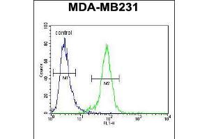 Flow cytometric analysis of MDA-MB231 cells (right histogram) compared to a negative control cell (left histogram). (PDE12 antibody  (C-Term))