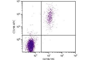 Human peripheral blood lymphocytes were stained with Mouse Anti-Human CD79b-APC. (CD79b antibody  (APC))