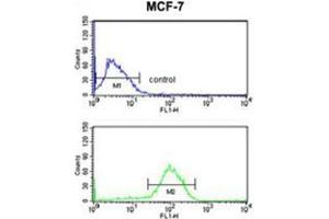 AGR3 Antibody (C-term) flow cytometry analysis of MCF-7 cells (bottom histogram) compared to a negative control cell (top histogram). (AGR3 antibody  (C-Term))