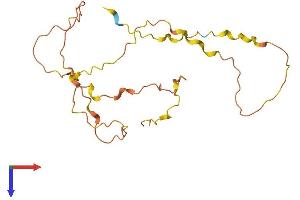 Family with Sequence Similarity 168, Member B (FAM168B) (AA 1-194) protein (His tag)