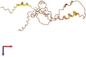 AlphaFold protein structure predicition of Human Recombinant FAM201A Protein, UniprotID Q5SY85 (FAM201A Protein (AA 1-155) (His tag))