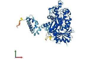 Protein Structure (PS) image for Elongator complex protein 3 (ELP3) (AA 1-547) protein (His tag) (ABIN7553833)