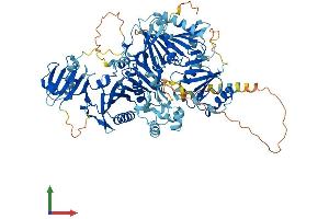 AlphaFold protein structure predicition of Human Recombinant VILL Protein, UniprotID O15195 (VILL Protein (AA 1-856) (His tag))