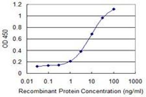 Detection limit for recombinant GST tagged GOSR1 is 0. (GS28 antibody  (AA 2-100))
