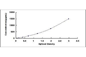 CEACAM6 ELISA Kit