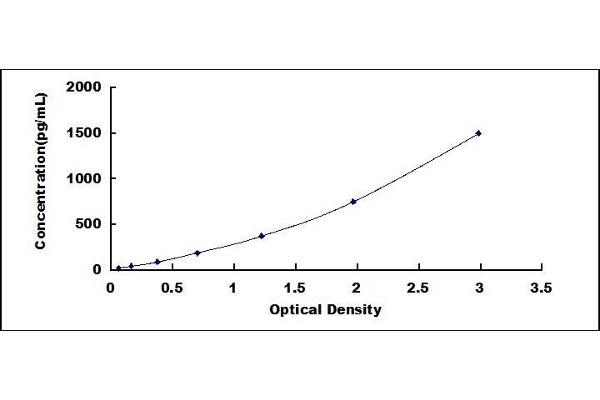 CEACAM6 ELISA Kit