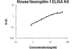 Mouse Neuropilin-1 PicoKine ELISA Kit standard curve