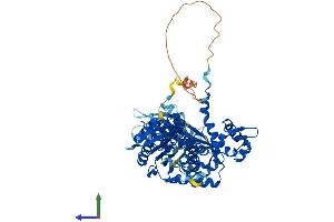 AlphaFold protein structure predicition of Human Recombinant ASMTL Protein, UniprotID O95671