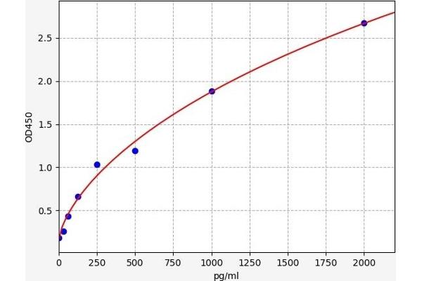 ETV6 ELISA Kit