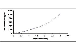 Typical standard curve (CCL7 ELISA Kit)