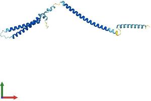 AlphaFold protein structure predicition of Human Recombinant MIS12 Protein, UniprotID Q9H081 (MIS12 Protein (AA 1-205) (His tag))