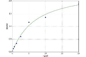 A typical standard curve