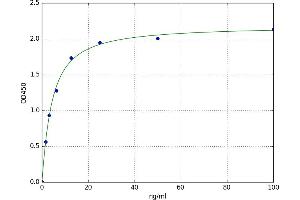 Activating Transcription Factor 1 (AFT1) ELISA Kit