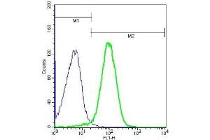 Mouse splenocytes probed with Rabbit Anti-DR6 Polyclonal Antibody, Unconjugated (ABIN873098) (green) at 1:100 for 40 minutes followed by a FITC conjugated secondary compared to control cells (blue).