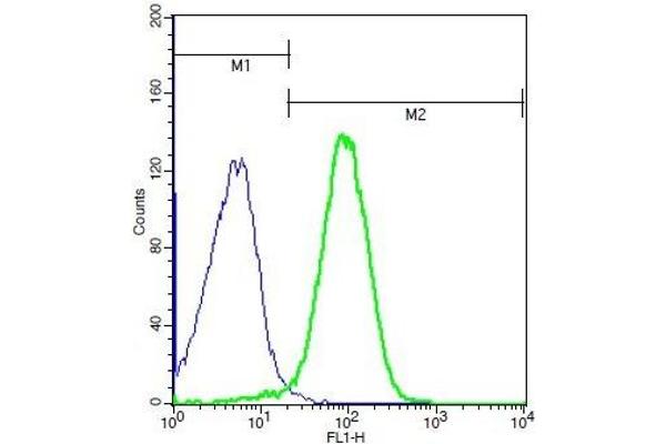 TNFRSF21 antibody  (AA 101-200)