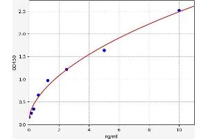 CRHBP ELISA Kit