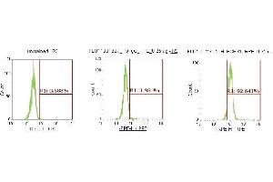 Flow Cytometry (FACS) image for anti-Enoyl CoA Hydratase, Short Chain, 1, Mitochondrial (ECHS1) (AA 28-290) antibody (PE) (ABIN5567106)