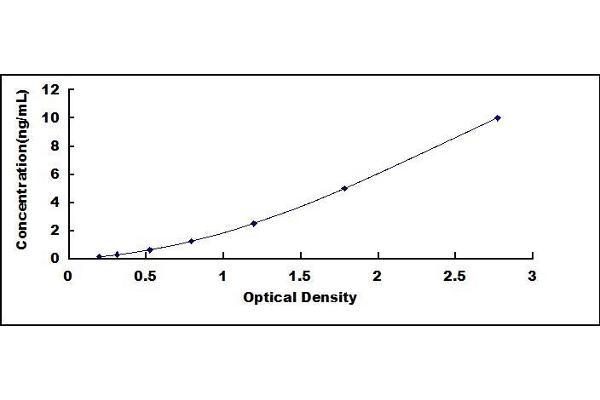 TIMP3 ELISA Kit