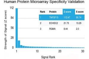 Analysis of HuProt(TM) microarray containing more than 19,000 full-length human proteins using recombinant TL1A antibody (clone rVEGI/1283). (TNFSF15 antibody)