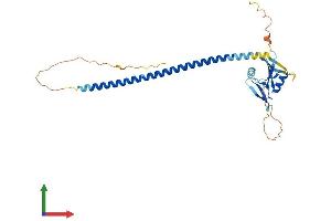 AlphaFold protein structure predicition of Mouse Recombinant Klra2 Protein, UniprotID Q60660 (Klra2 Protein (AA 1-288) (His tag))