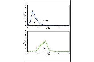 AOX1 Antibody (Center) (ABIN390654 and ABIN2840952) flow cytometry analysis of HepG2 cells (bottom histogram) compared to a negative control cell (top histogram). (AOX1 antibody  (AA 698-726))