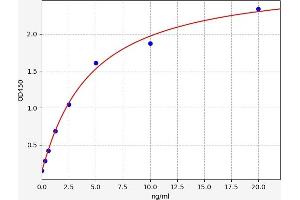 Typical standard curve (Acid Phosphatase ELISA Kit)