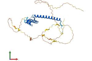 Protein Structure (PS) image for Neurogenic Differentiation 4 (NEUROD4) (AA 1-331) protein (His tag) (ABIN7549731)