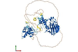 Protein Structure (PS) image for Set1/Ash2 Histone Methyltransferase Complex Subunit ASH2 (ASH2L) (AA 1-628) protein (His tag) (ABIN7552453)