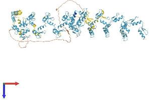AlphaFold protein structure predicition of Human Recombinant ZNF850 Protein, UniprotID A8MQ14 (ZNF850 Protein (AA 1-1090) (His tag))