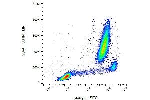 Flow cytometry analysis (intracellular staining) of lysozyme in human peripheral blood with anti-lysozyme (LZ598-10G9) FITC. (LYZ antibody  (FITC))